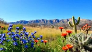 plants native to texas